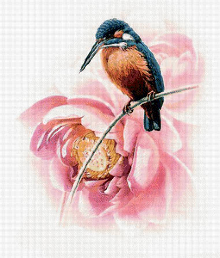 птичка и пион - птичка, птицы, серия птицы, цветы, природа, цветок - предпросмотр