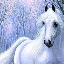 лошадь в зимнем лесу
