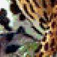 Предпросмотр схемы вышивки «Леопард» (№534135)