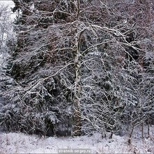 Схема вышивки «Русский лес зимой.»