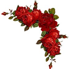 Схема вышивки «уголок красные розы»