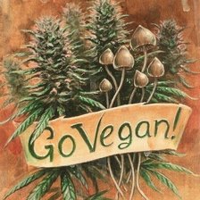 Схема вышивки «Go Vegan! (Будь веганом!)»