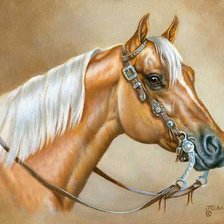 Схема вышивки «джуди гибсон 23 белогривый конь»