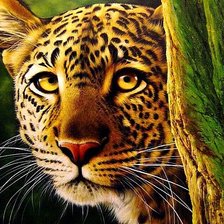 Схема вышивки «Взгляд леопарда»