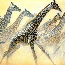 Схема вышивки «жираф»