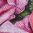 Предпросмотр схемы вышивки «прекрасные розы» (№542739)