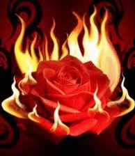 Схема вышивки «пламеная роза»