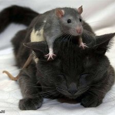 Схема вышивки «Кошка и мышка»