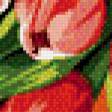 Предпросмотр схемы вышивки «Тюльпаны» (№546367)