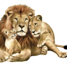 Схема вышивки «семья лев львица и львенок»