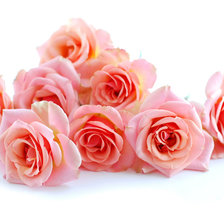 Оригинал схемы вышивки «розовые розы» (№548413)