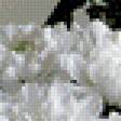 Предпросмотр схемы вышивки «Белый натюрморт» (№549406)