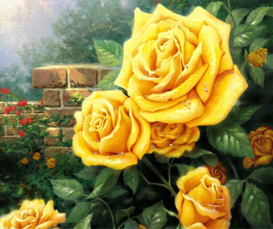 желтые розы - красота, розы, цветы, природа - оригинал