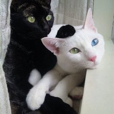 Черное и белое