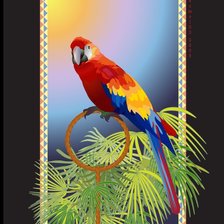 Оригинал схемы вышивки «попугай» (№554985)
