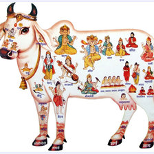 Схема вышивки «Корова Сурабхи»
