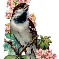 Схема вышивки «цветы и птичка»