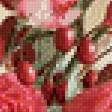 Предпросмотр схемы вышивки «Розы» (№556404)