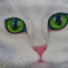 Схема вышивки «зеленоглазый кот»
