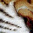 Предпросмотр схемы вышивки «тигр» (№562134)