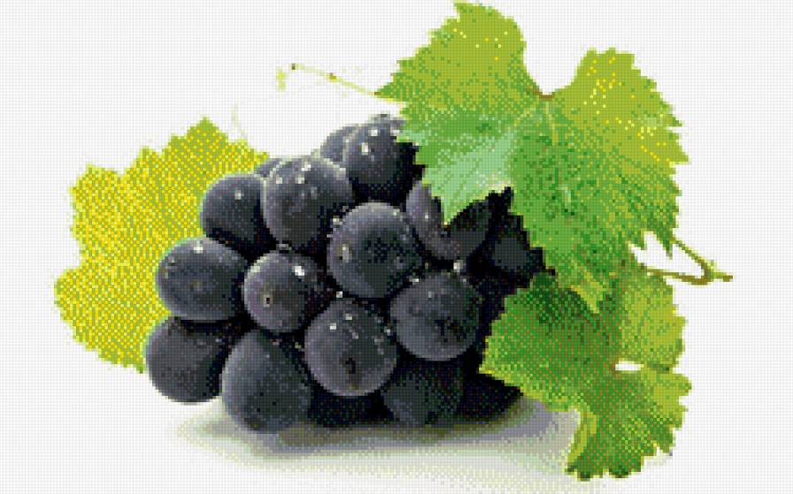 зрелый виноград - фрукты, ягоды, пано, кухня - предпросмотр