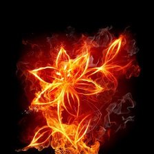 Схема вышивки «Огненный цветок»