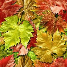 подушка виноградные листья
