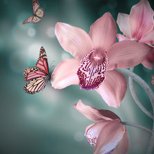 Оригинал схемы вышивки «орхидеи и бабочки» (№566350)