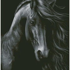 Оригинал схемы вышивки «лошадь чёрная» (№567144)