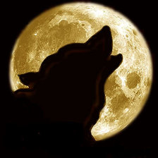 Схема вышивки «волк при луне монохром»