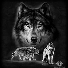 Схема вышивки «волки монохром»