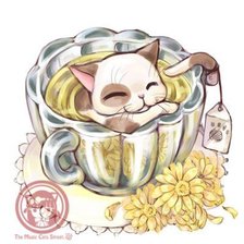 Коты и чай 3