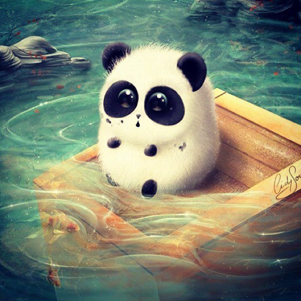 Панда *0* - вода, панда, милота, животные - оригинал