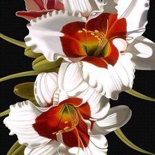 Оригинал схемы вышивки «Белые цветы, лилии» (№576597)