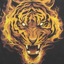 Схема вышивки «Огненный зверь»