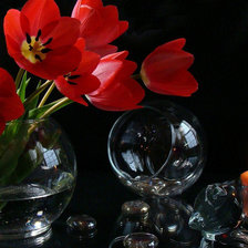 Оригинал схемы вышивки «тюльпаны на черном» (№577975)