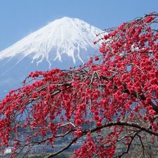 Схема вышивки «Гора Фудзияма»