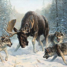 Схема вышивки «волчья охота»