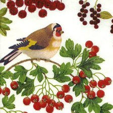 Схема вышивки «Птичка с ягодками»
