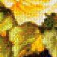 Предпросмотр схемы вышивки «Желтые пионы» (№584924)