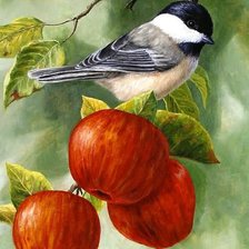 Схема вышивки «Ветка  с птичкой и яблоками»