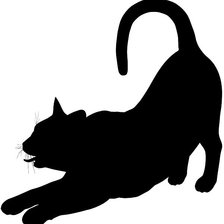 Кот черно-белый