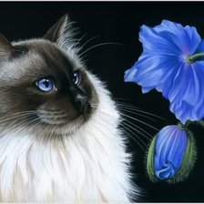 Оригинал схемы вышивки «котик и цветок» (№585580)