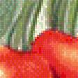 Предпросмотр схемы вышивки «ягодки» (№586158)