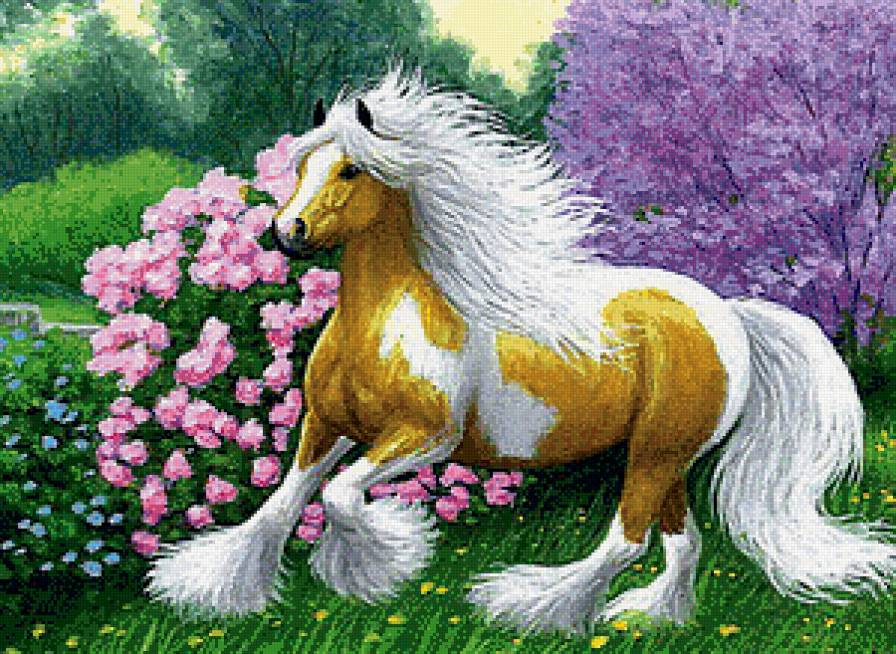 Красавица-лошадка - пейзаж, животные, лошади - предпросмотр