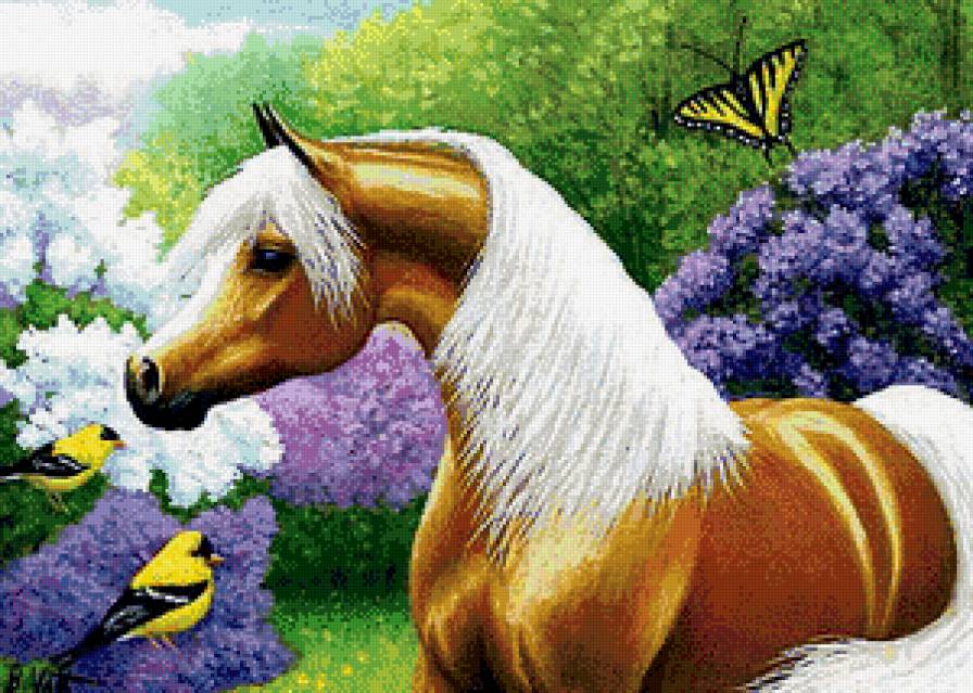 Красавица-лошадка - лошади, животные - предпросмотр