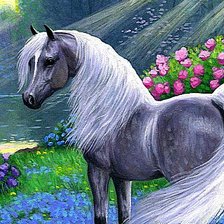 Красавица-лошадка