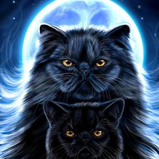 Схема вышивки «Очень чёрные кошки»