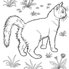 Оригинал схемы вышивки «Кот в одуванчиках» (№592681)