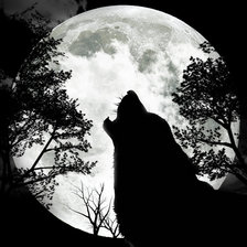 Схема вышивки «волк и луна»